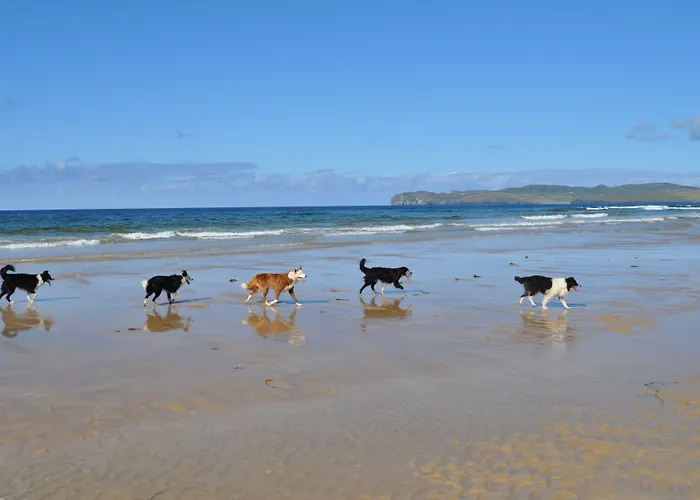 Ostan Loch Altan 3* Cashel Hill